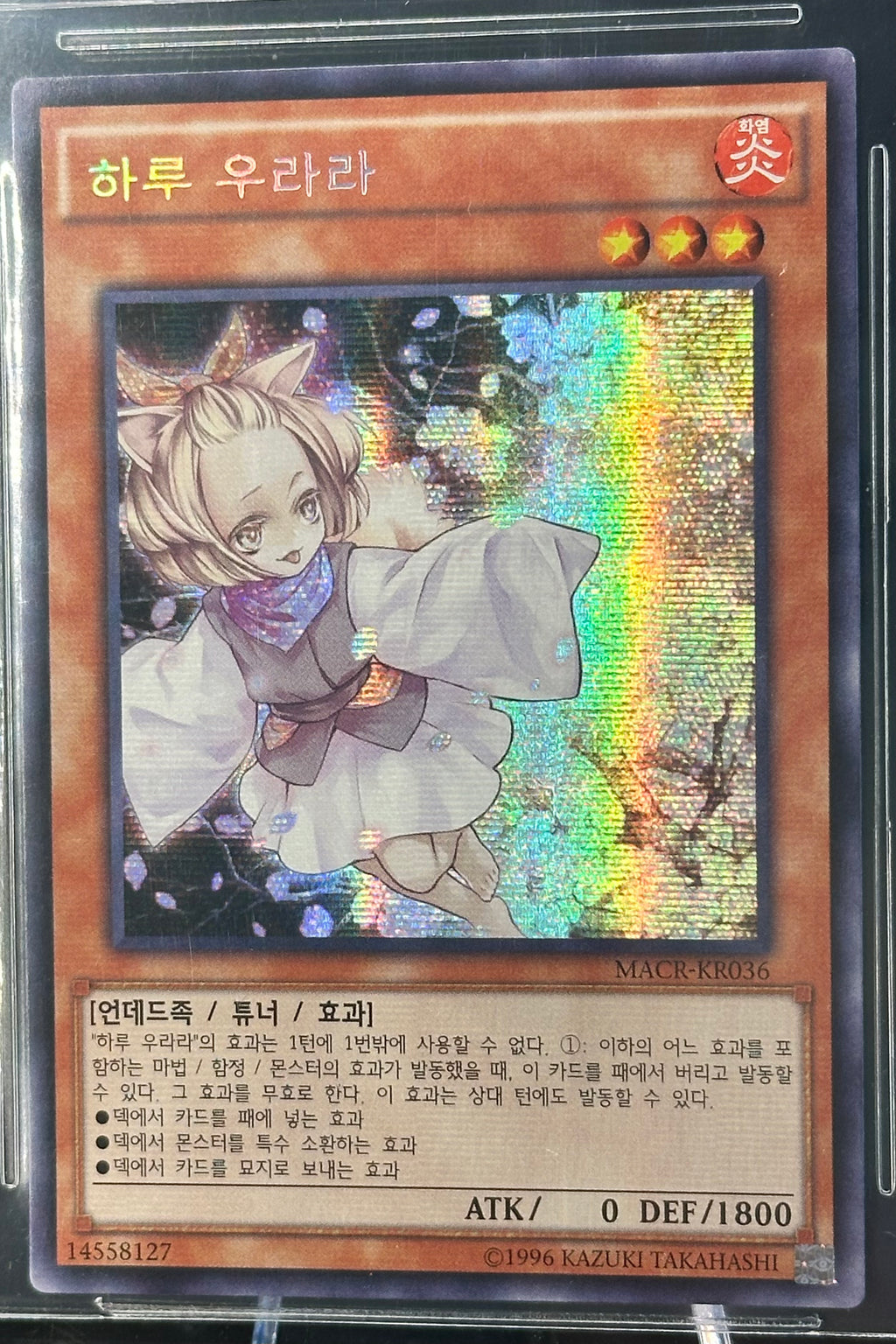 Aschenblüte & Freudiger Frühling, Maximum Crisis (OCG), "MACR-KR036", Secret Rare, koreanisch