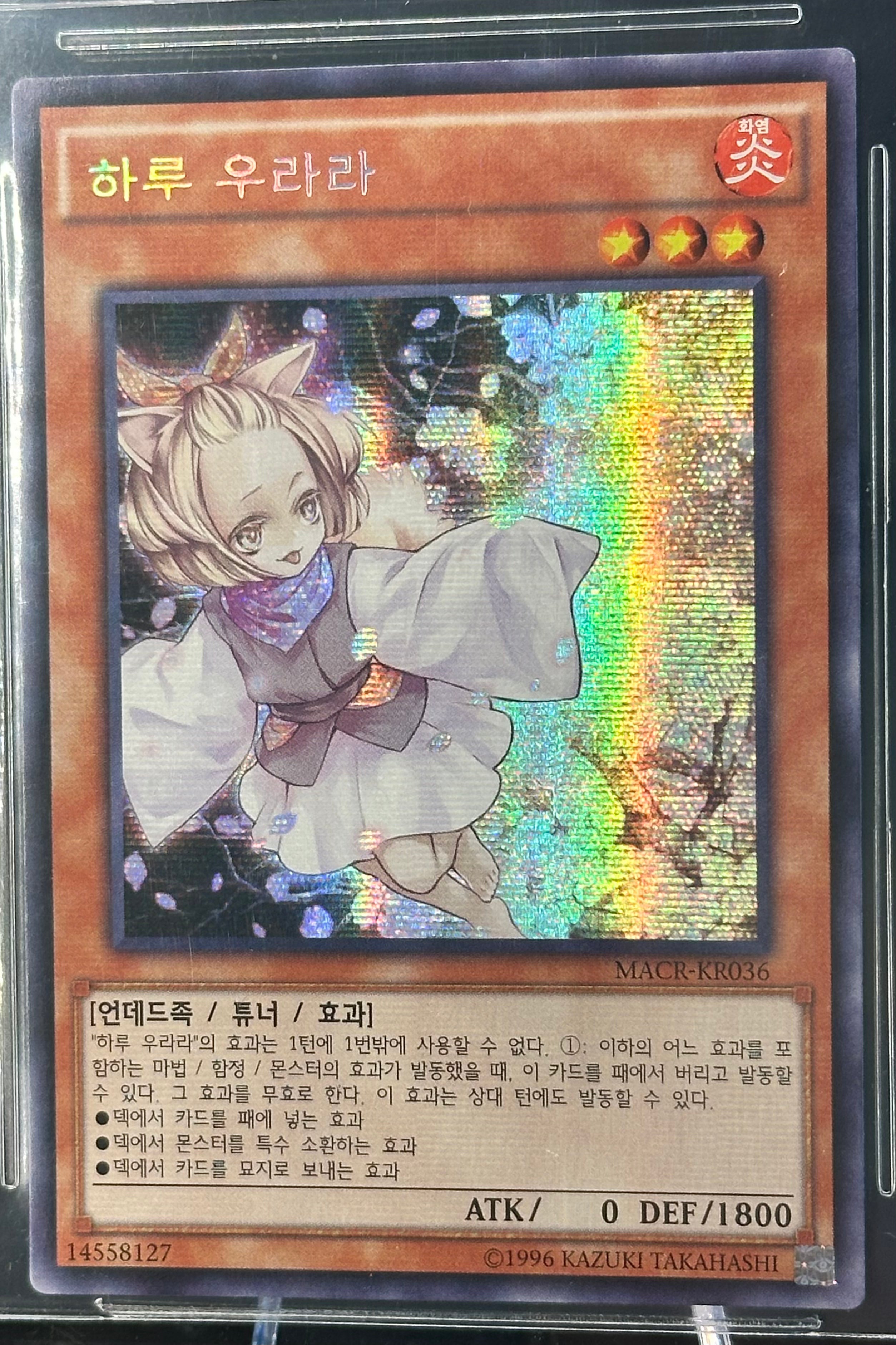 Aschenblüte & Freudiger Frühling, Maximum Crisis (OCG), "MACR-KR036", Secret Rare, koreanisch