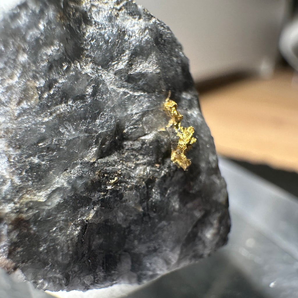 Gold-Quarz-Specimen „Peru“