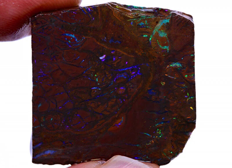 Natürlicher Australischer "Elusive Claim" Koroit Boulder Opal