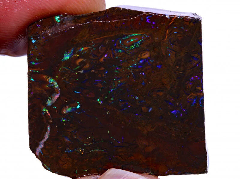 Natürlicher Australischer "Elusive Claim" Koroit Boulder Opal