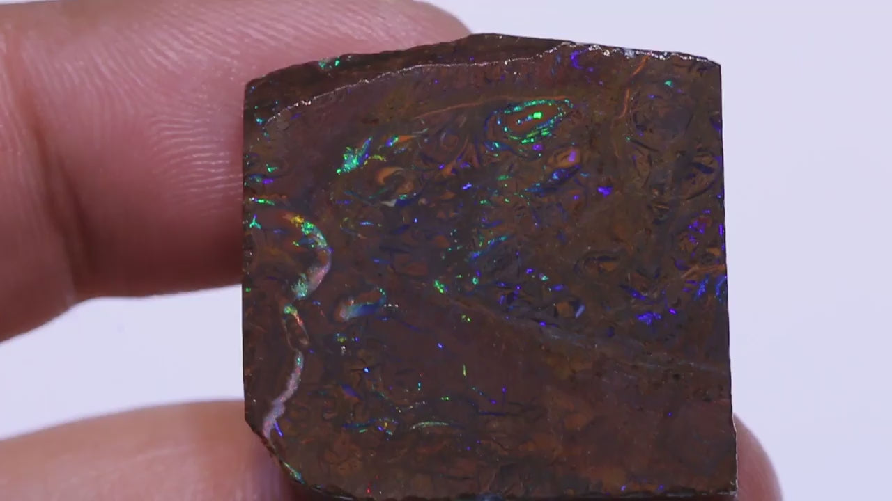 Natürlicher Australischer "Elusive Claim" Koroit Boulder Opal